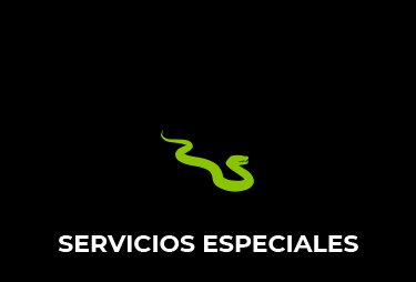 SERVICIOS ESPECIALES